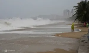 Bão Kalmaegi suy yếu thành áp thấp nhiệt đới